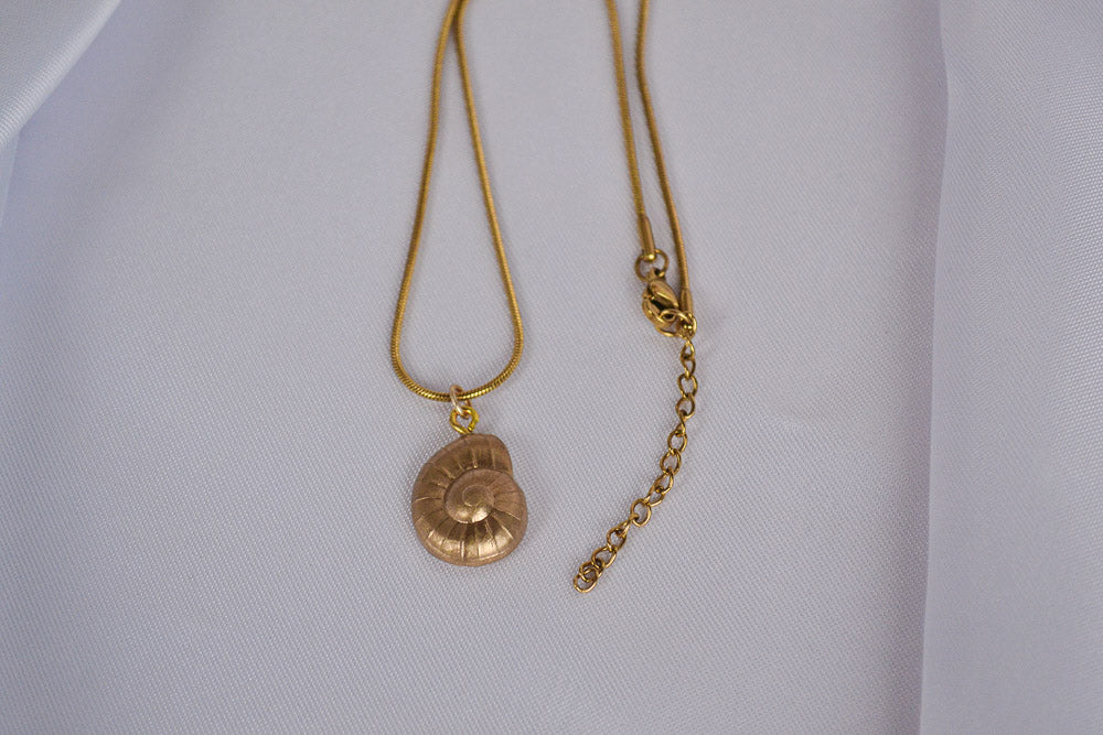 Detailfoto eines Muschel Anhängers in Gold an einer Snake Chain Kette